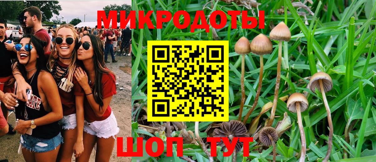 Галлюциногенные грибы Psilocybine cubensis  что такое наркотик  Сергиев Посад  Вход с VPN 